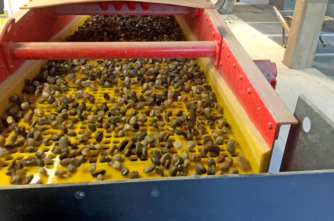HR 13-5 50 I WS linear motion screening machine on site. View into the machine. You can see the yellow PU screen panels and washed gravel running over the screen panels.