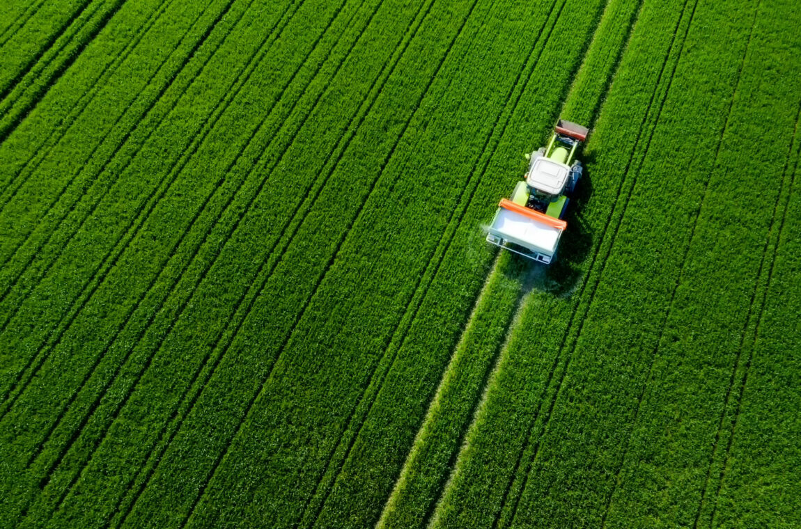 Tractor on a green field. Ammonium sulphate fertilizer is being spread.